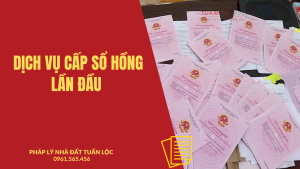 Dịch vụ cấp sổ hồng lần đầu tại TP HCM