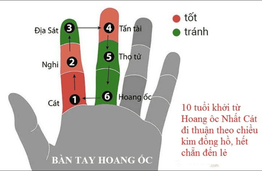 bàn tay hoang ốc là gì